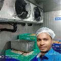 penyejukan penyejat unit pemeluwap bilik sejuk